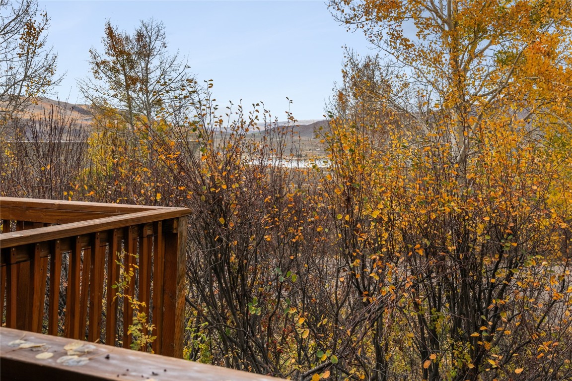 23055 Schussmark Trail Oak Creek CO 80467