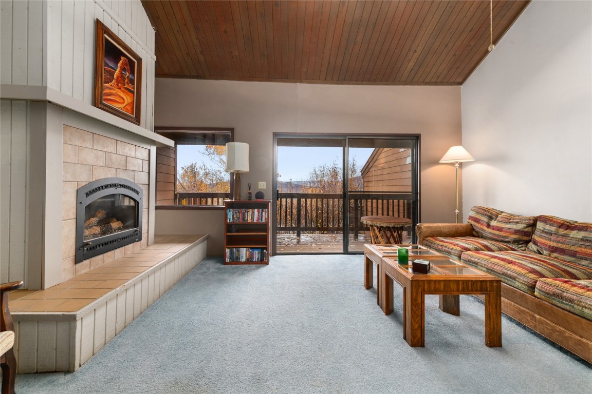 23055 Schussmark Trail Oak Creek CO 80467