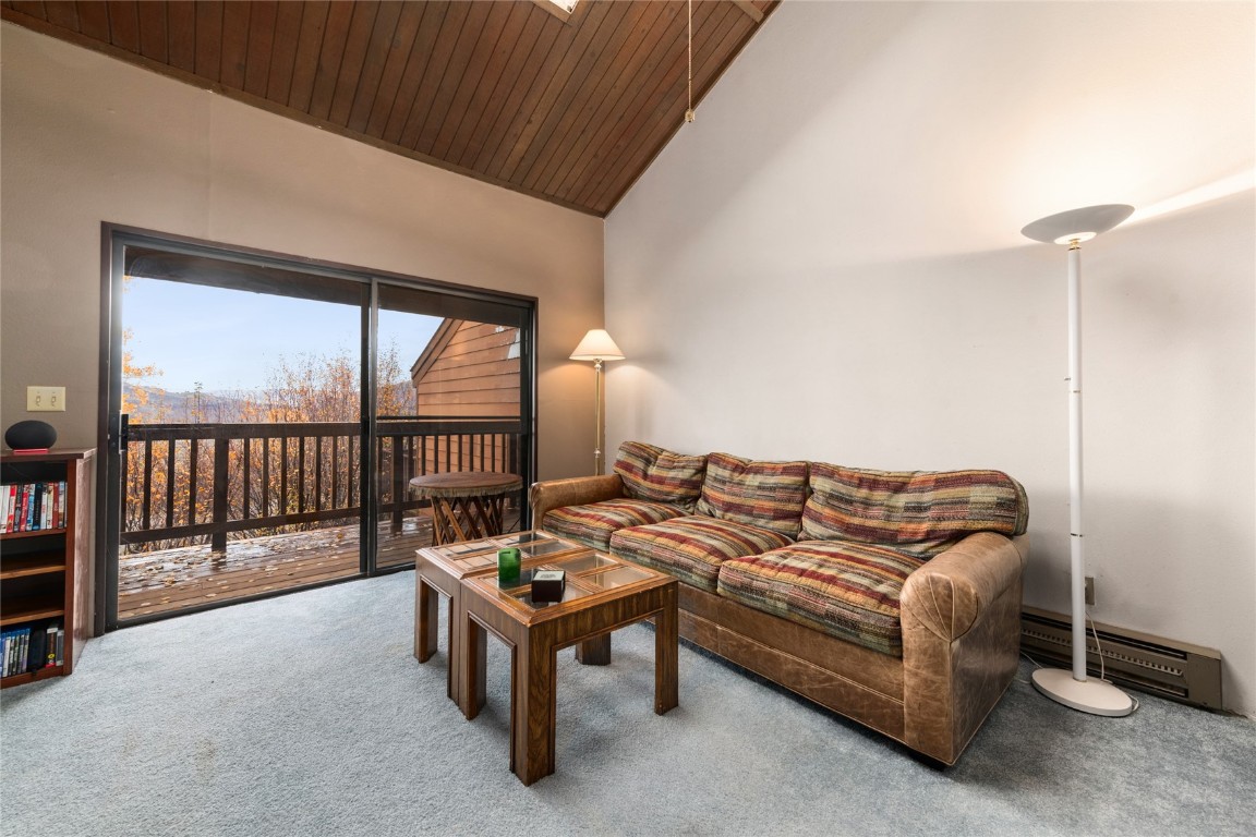 23055 Schussmark Trail Oak Creek CO 80467