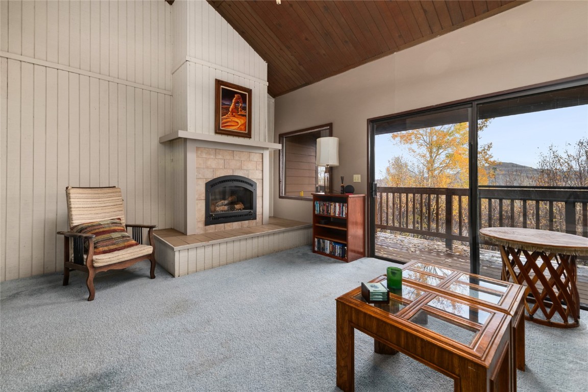 23055 Schussmark Trail Oak Creek CO 80467
