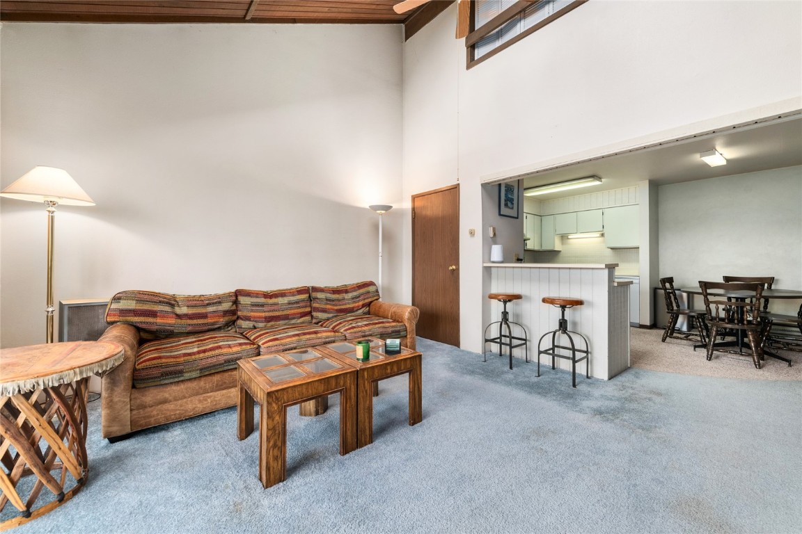 23055 Schussmark Trail Oak Creek CO 80467