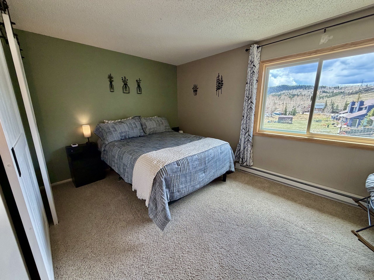 258 Cove Boulevard Dillon CO 80435