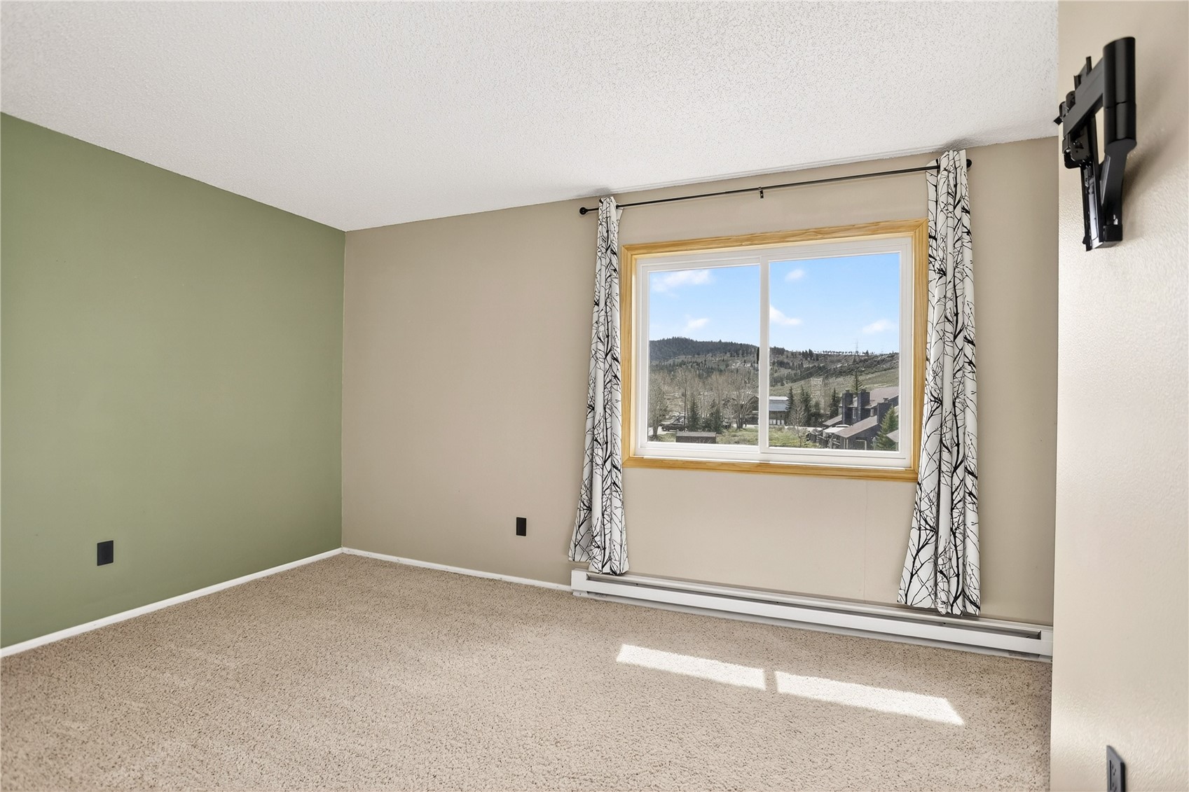 258 Cove Boulevard Dillon CO 80435
