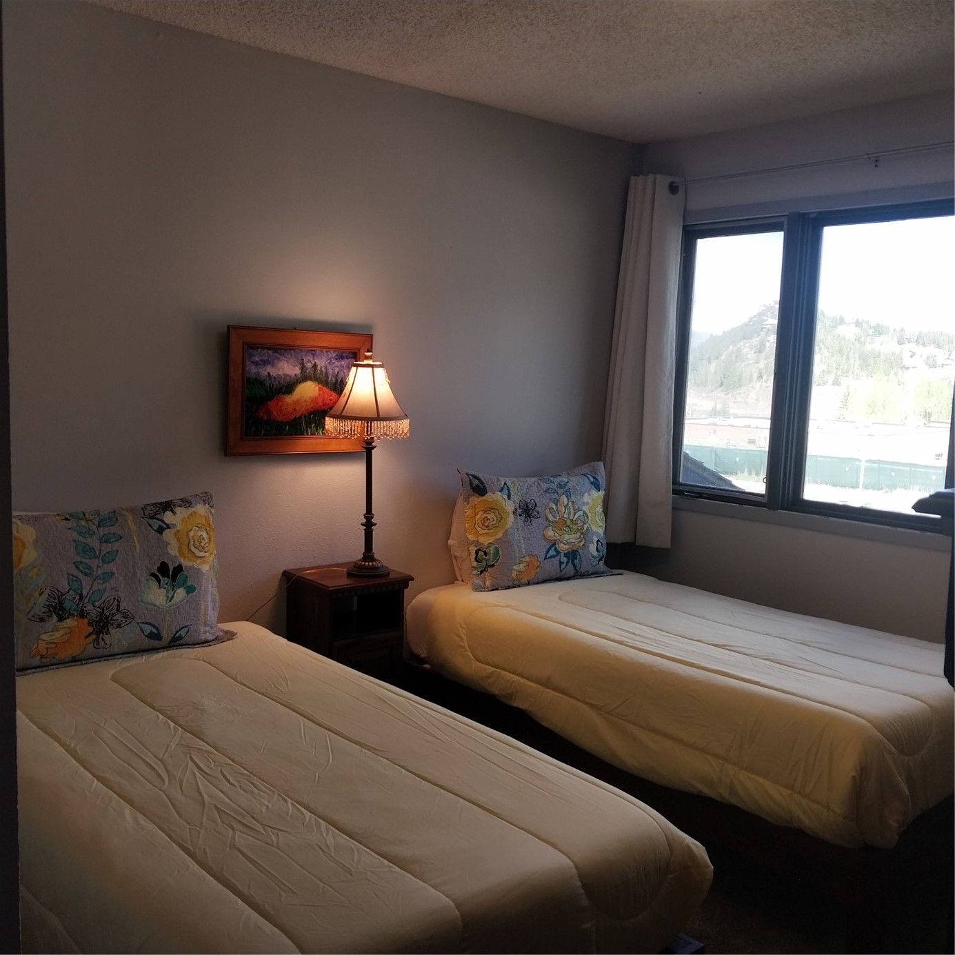 250 Cove Boulevard Dillon CO 80435