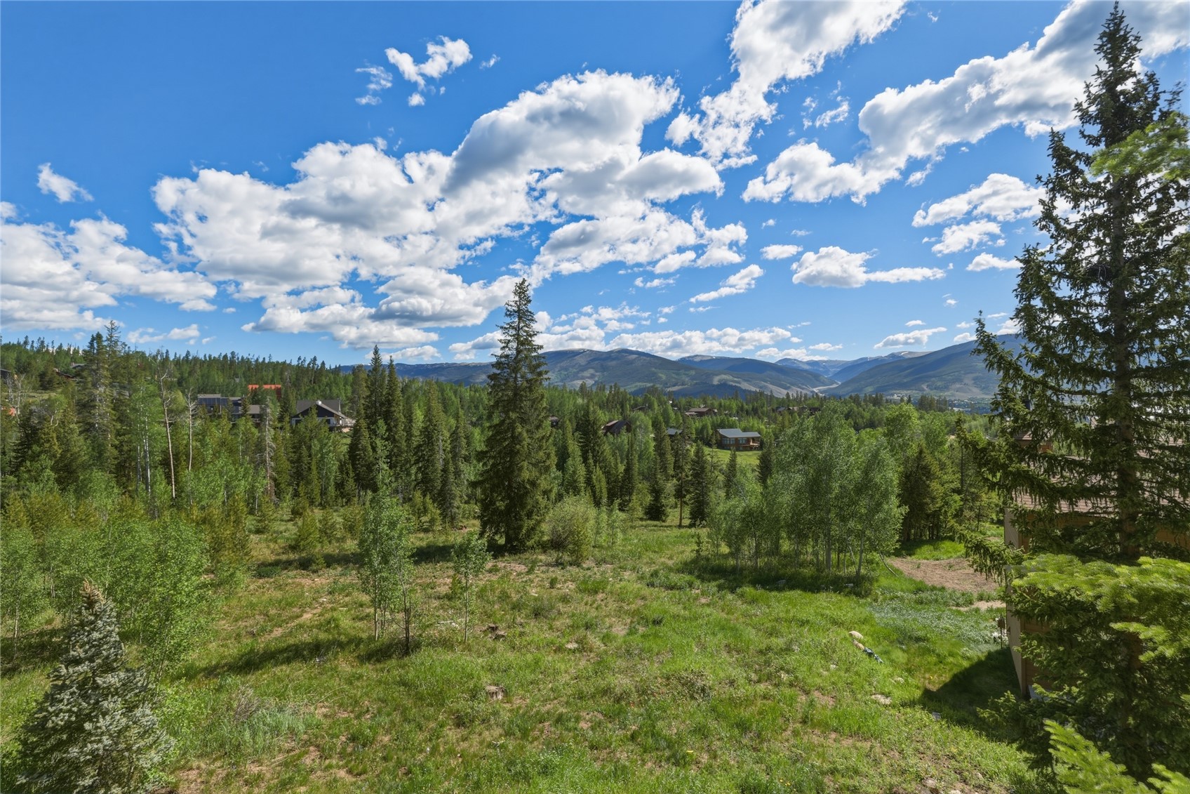 6726 Ryan Gulch Road Wildernest CO 80498