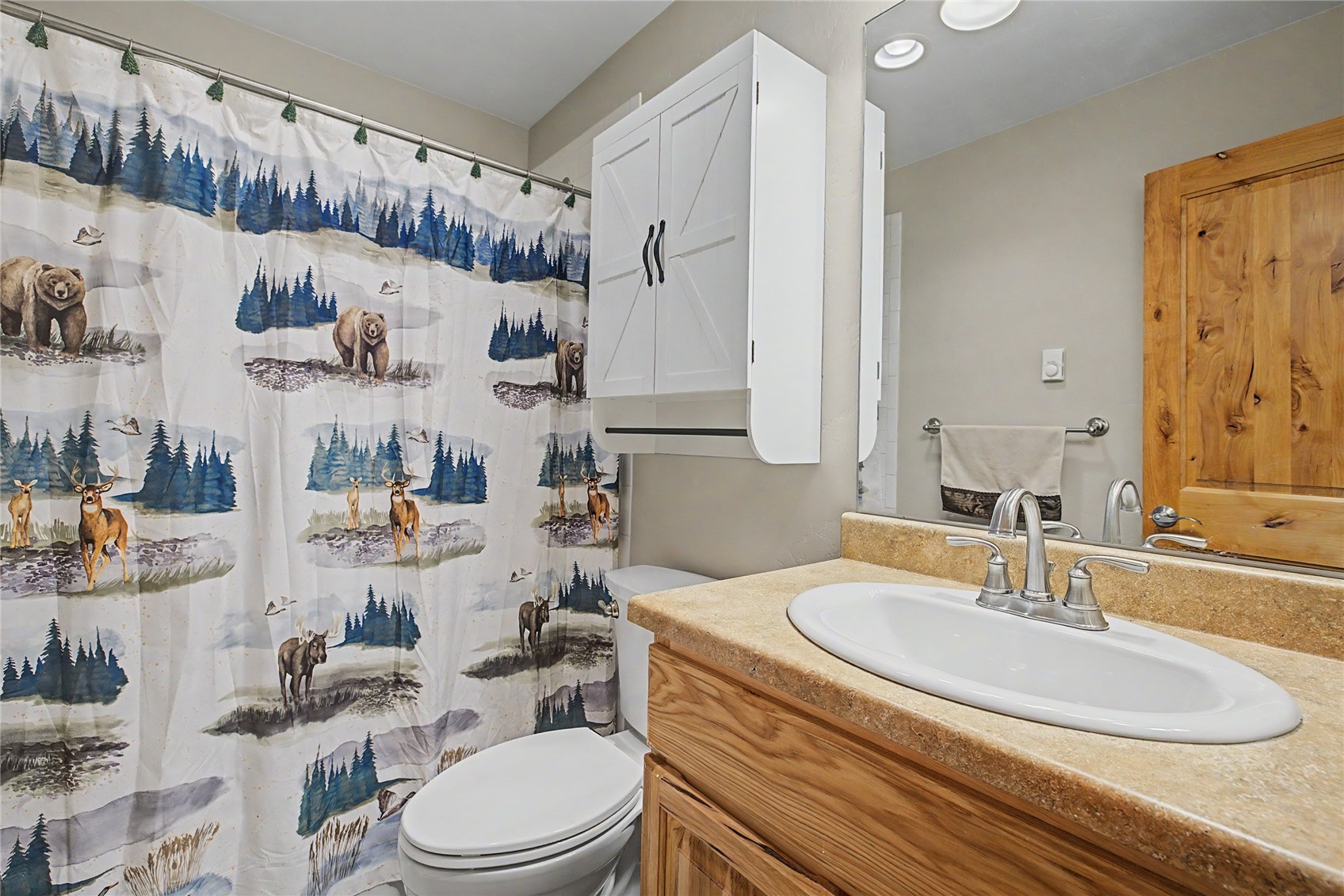 6726 Ryan Gulch Road Wildernest CO 80498