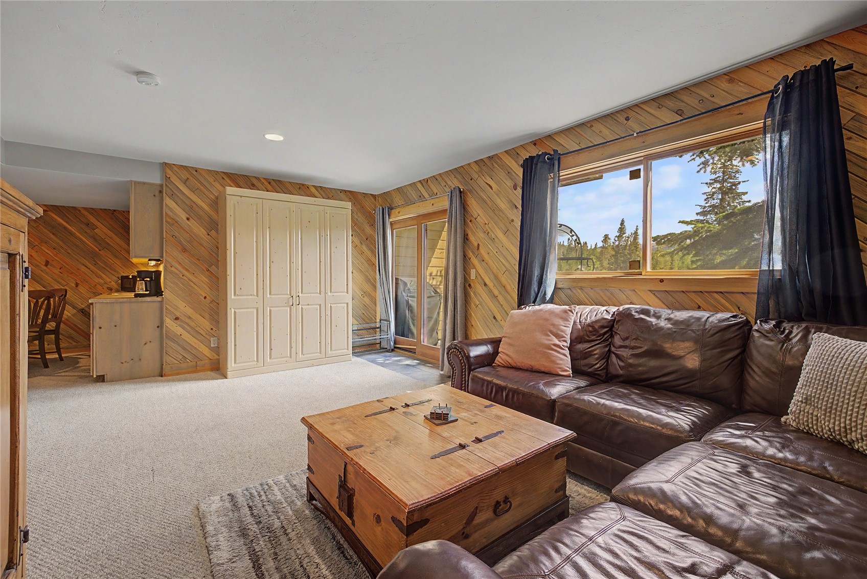 6726 Ryan Gulch Road Wildernest CO 80498