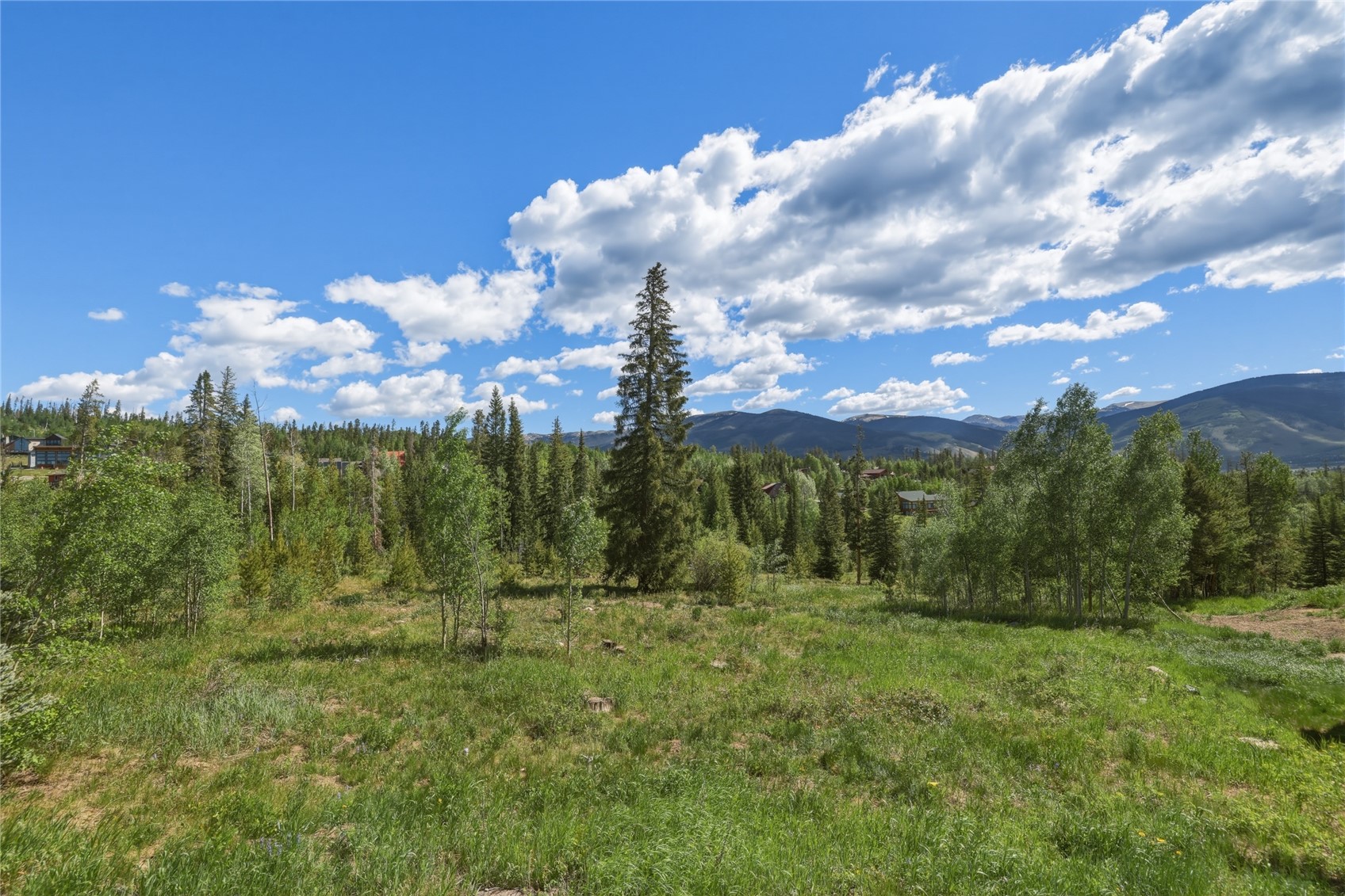 6726 Ryan Gulch Road Wildernest CO 80498