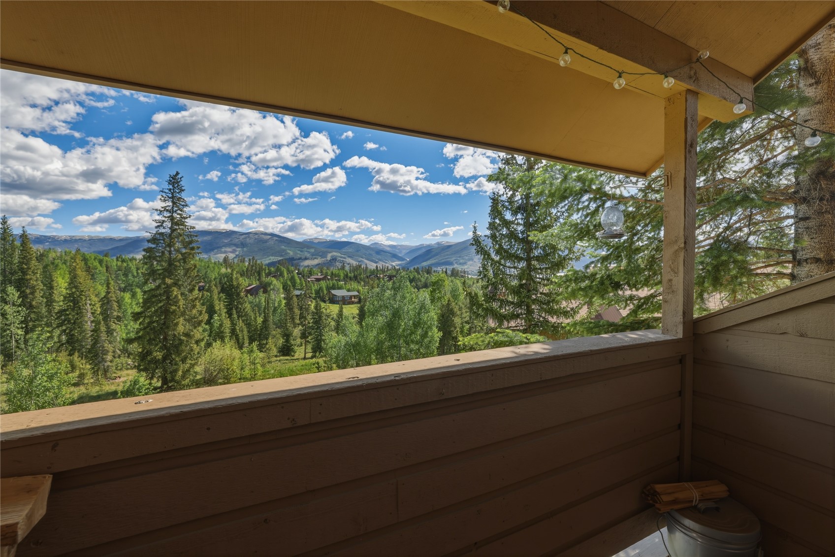 6726 Ryan Gulch Road Wildernest CO 80498