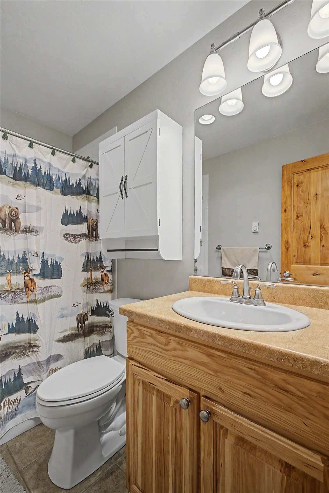 6726 Ryan Gulch Road Wildernest CO 80498