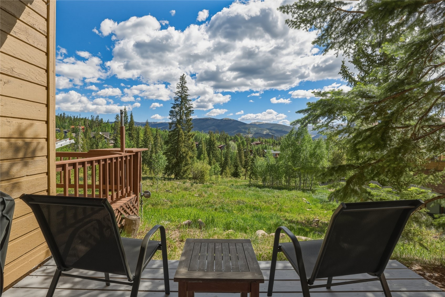 6726 Ryan Gulch Road Wildernest CO 80498