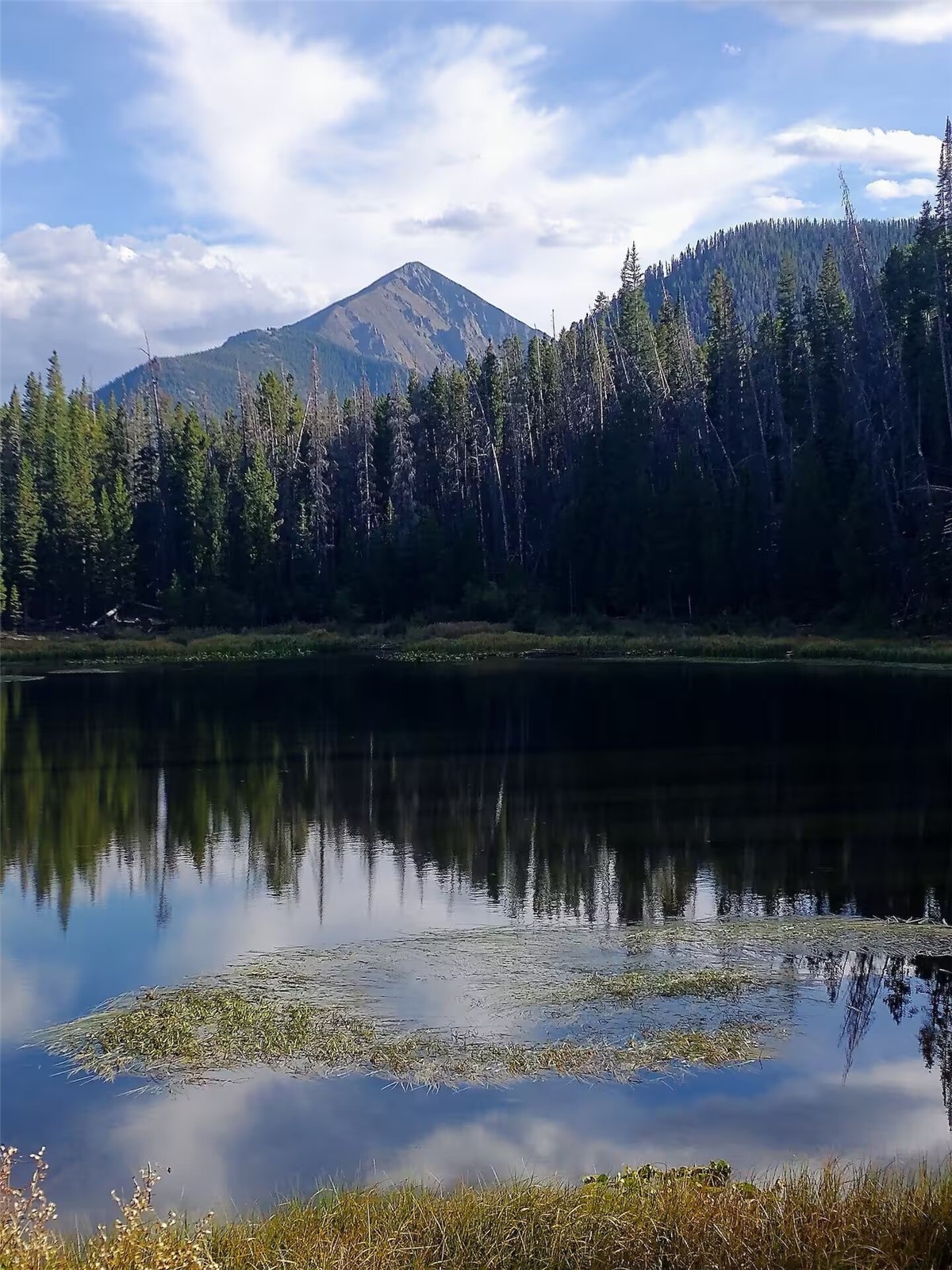 9876 Ryan Gulch Road Silverthorne CO 80498