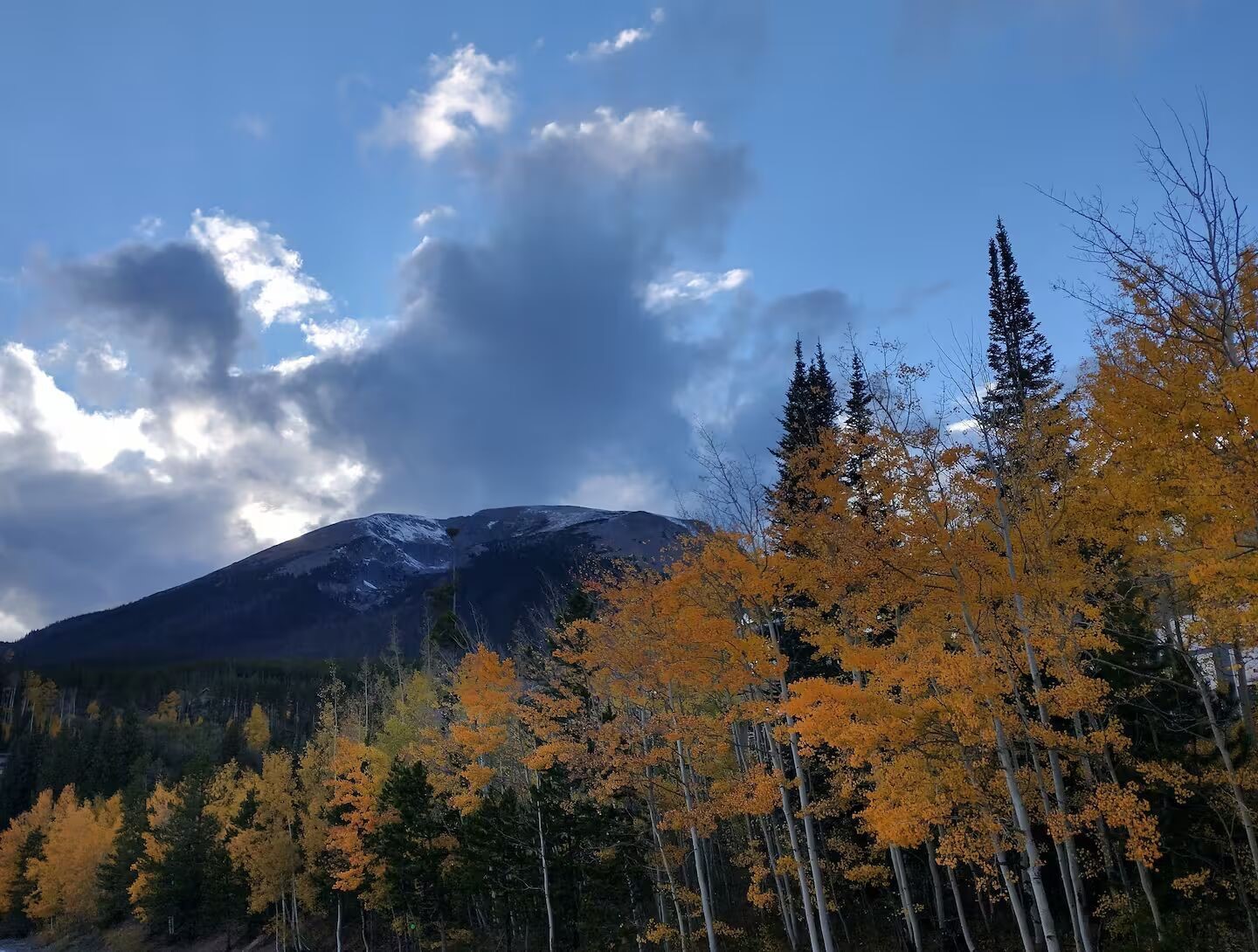 9876 Ryan Gulch Road Silverthorne CO 80498