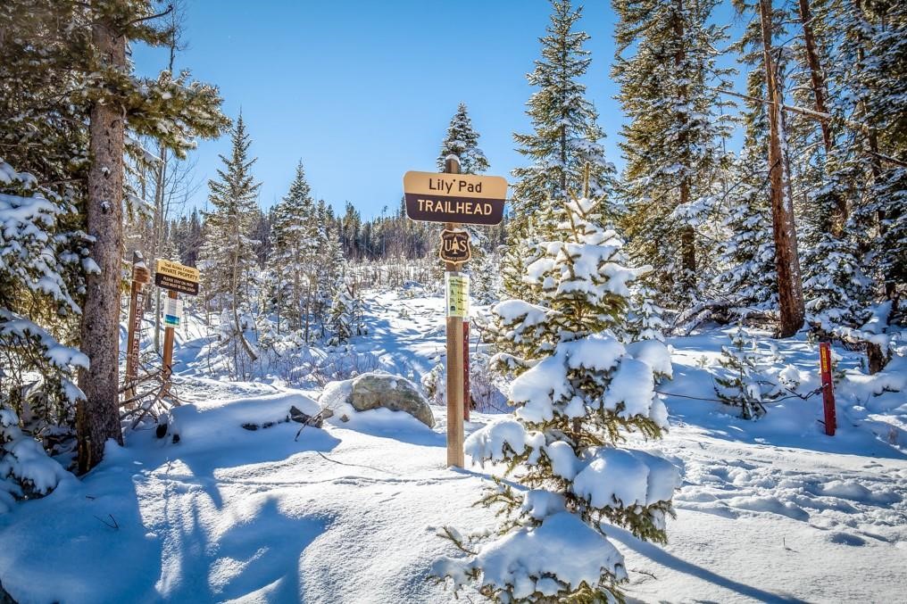 4200 Lodge Pole Circle Silverthorne CO 80498