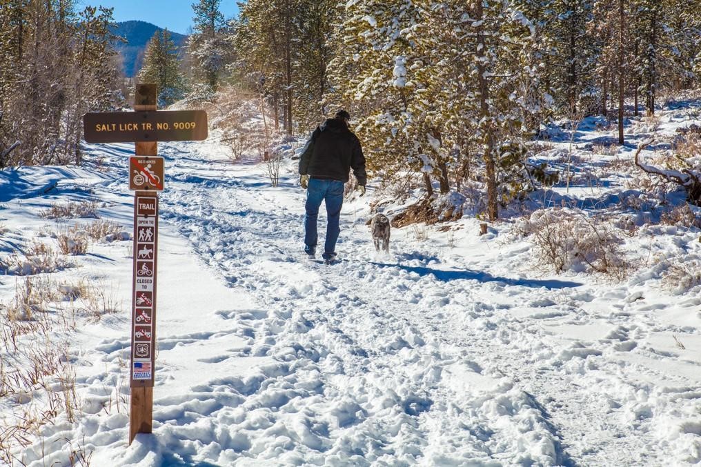 4200 Lodge Pole Circle Silverthorne CO 80498
