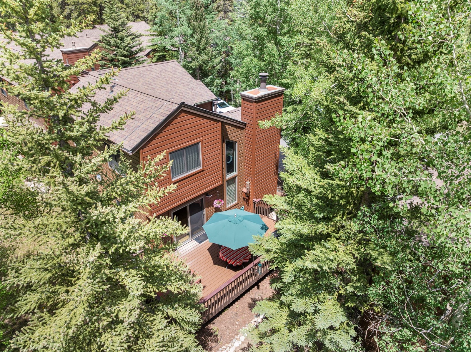 111 Sawmill Road Breckenridge CO 80424