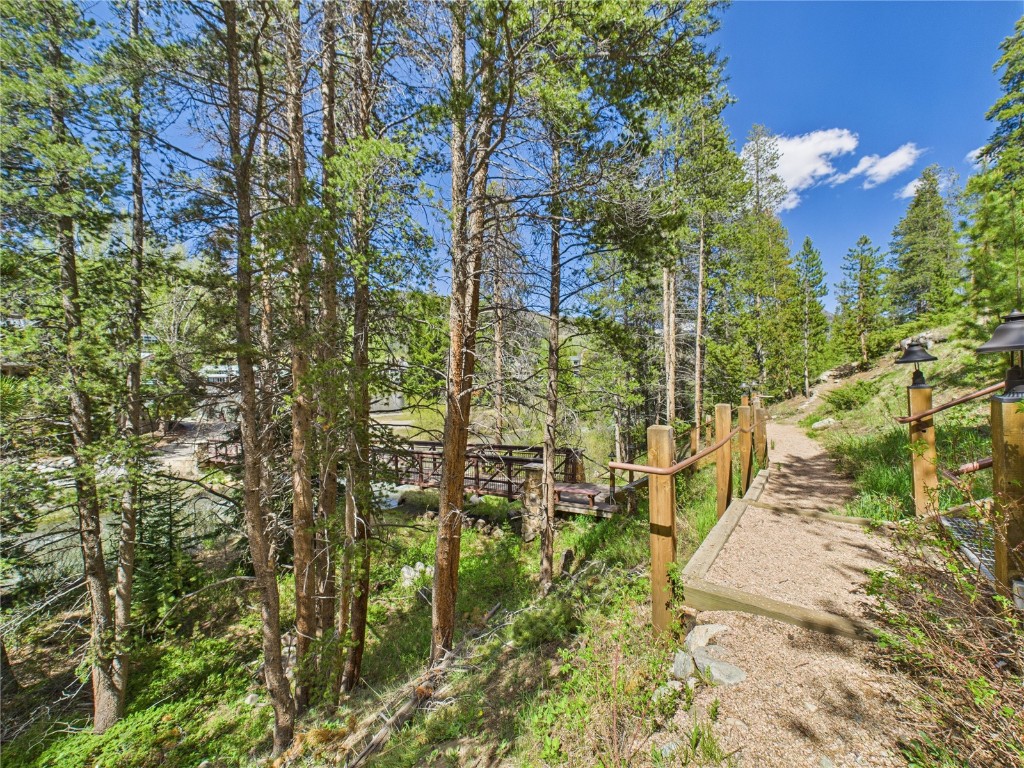 27 Lake Ridge Circle Keystone CO 80435