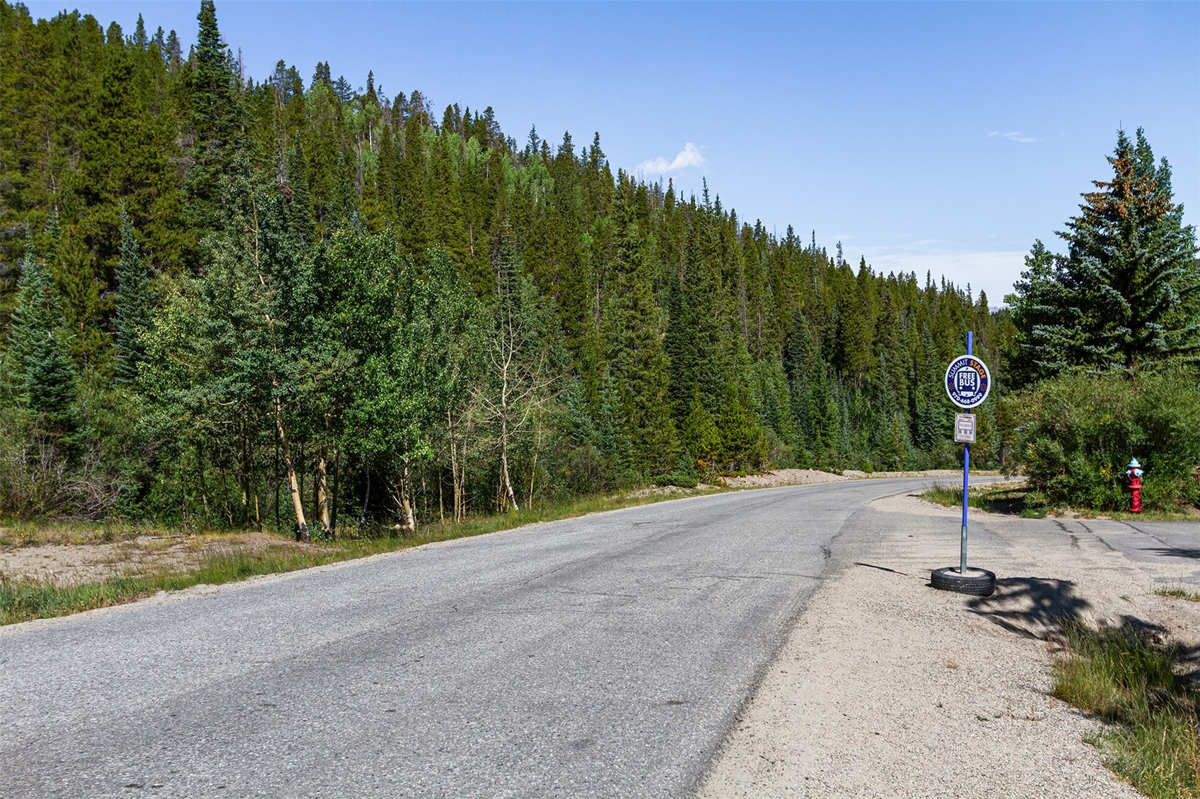 304 Illinois Gulch Road Breckenridge CO 80424