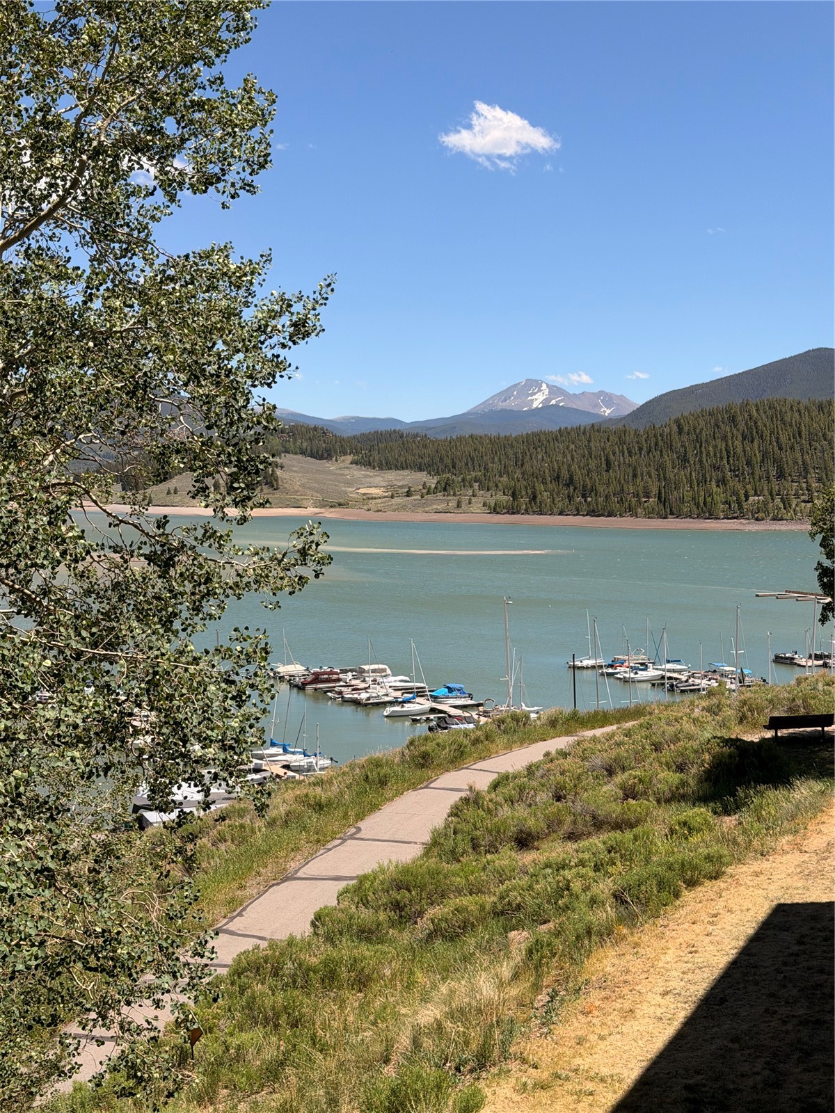 220 E La Bonte Street Dillon CO 80435