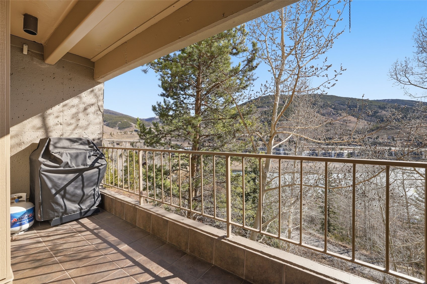 220 E La Bonte Street Dillon CO 80435