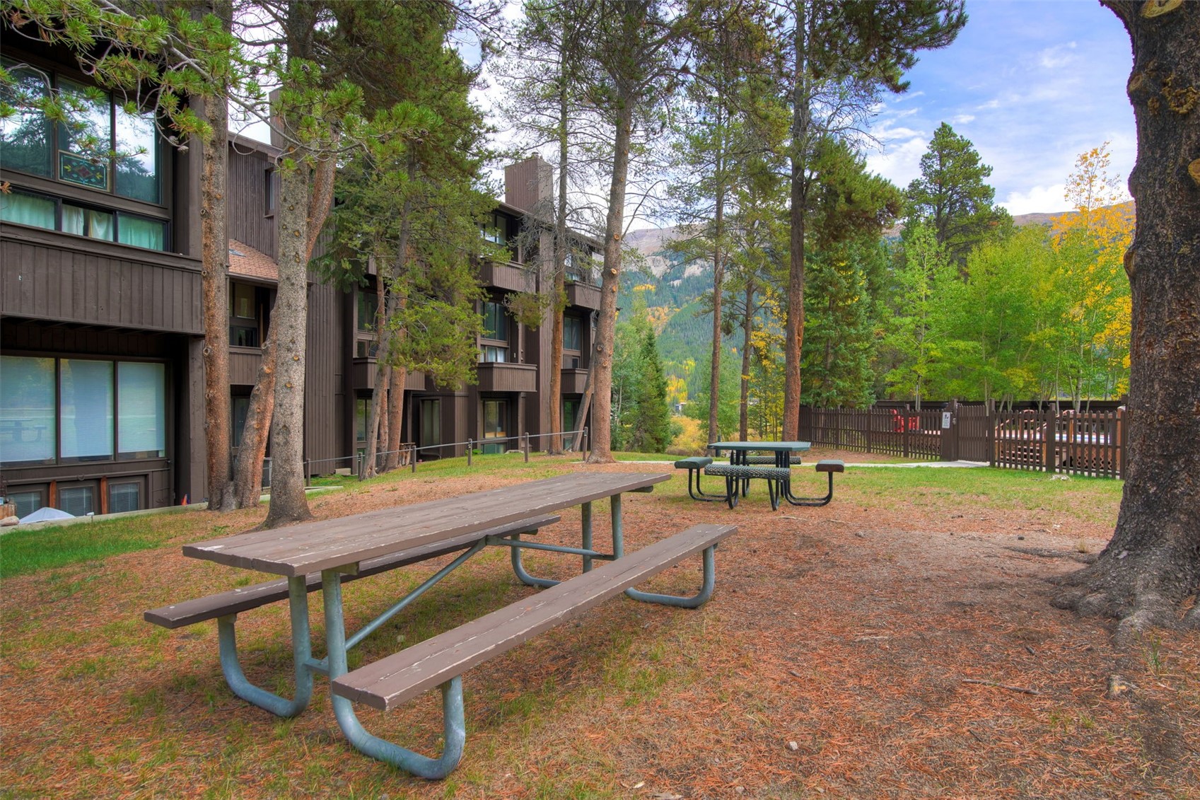 78 Guller Road Copper Mountain CO 80443