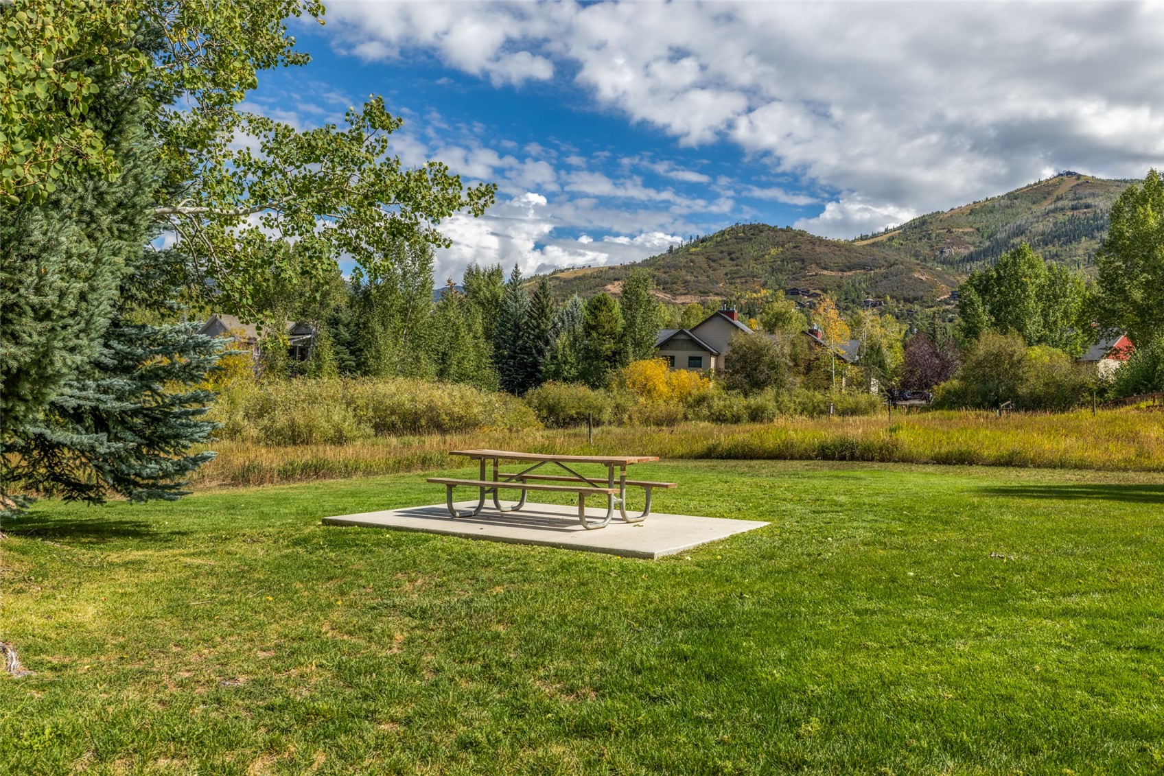 1555 Woodbridge Court Steamboat Springs CO 80487