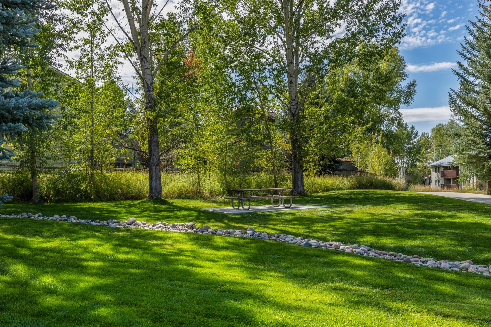 1555 Woodbridge Court Steamboat Springs CO 80487