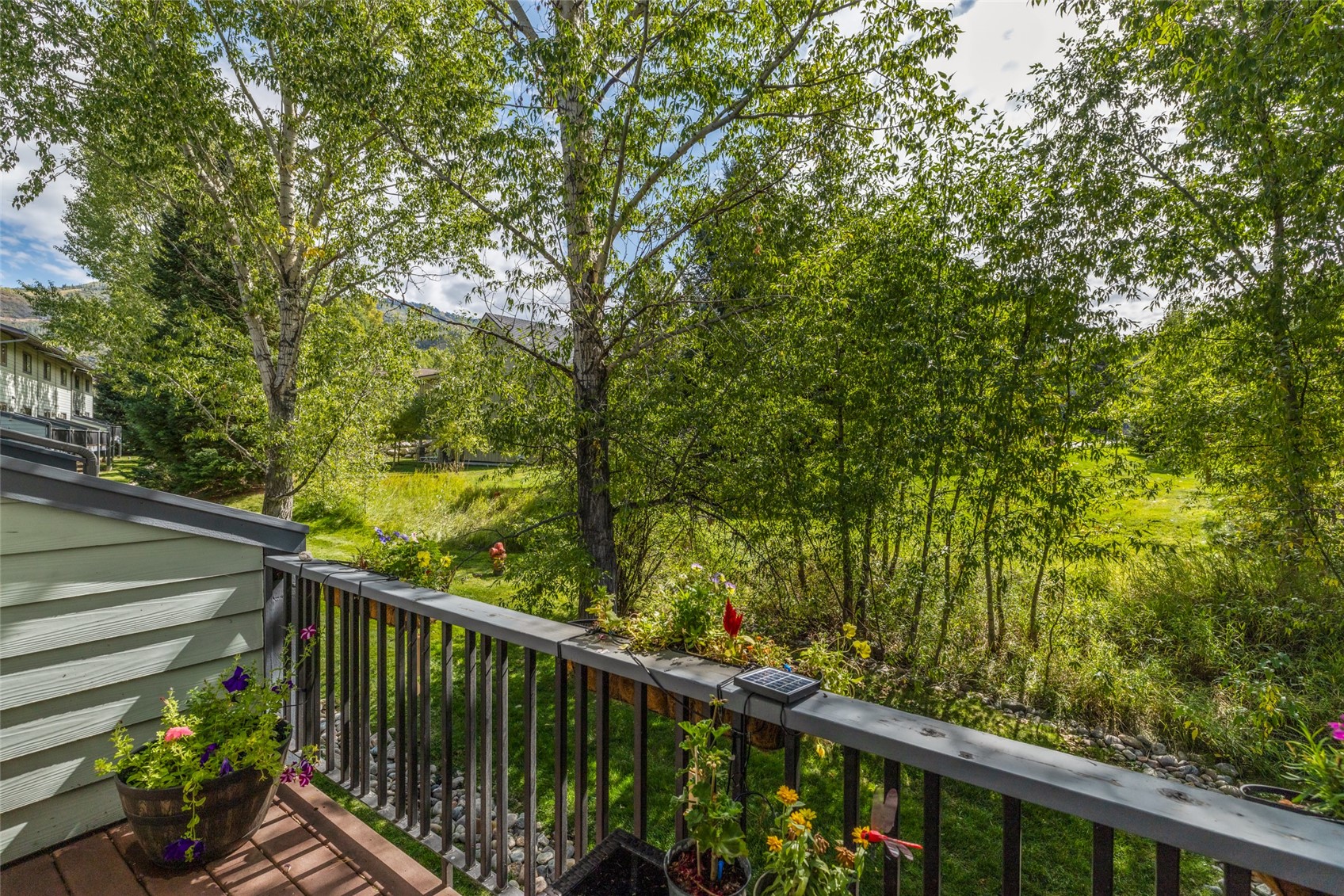 1555 Woodbridge Court Steamboat Springs CO 80487