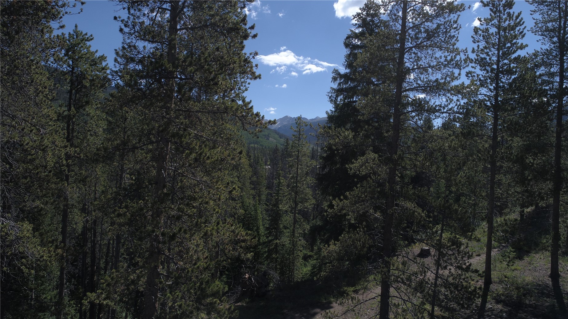 0125 Lake Ridge Circle Keystone CO 80435