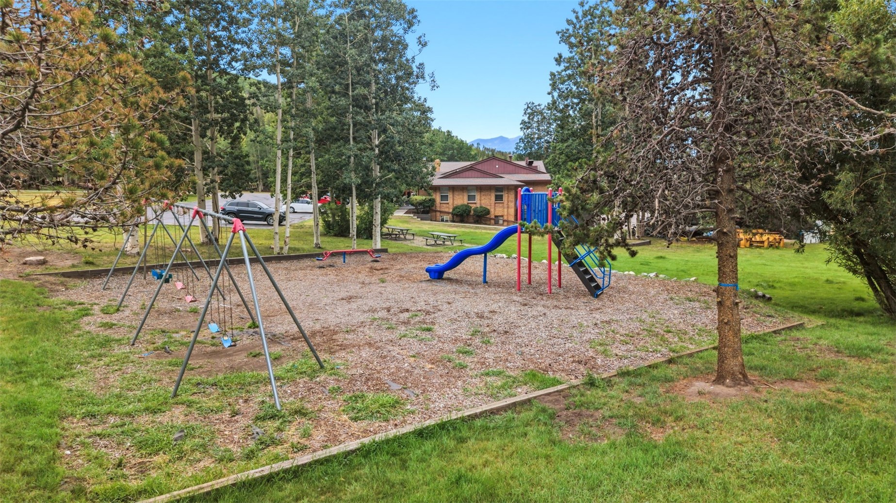 1033 Straight Creek Drive Dillon CO 80435
