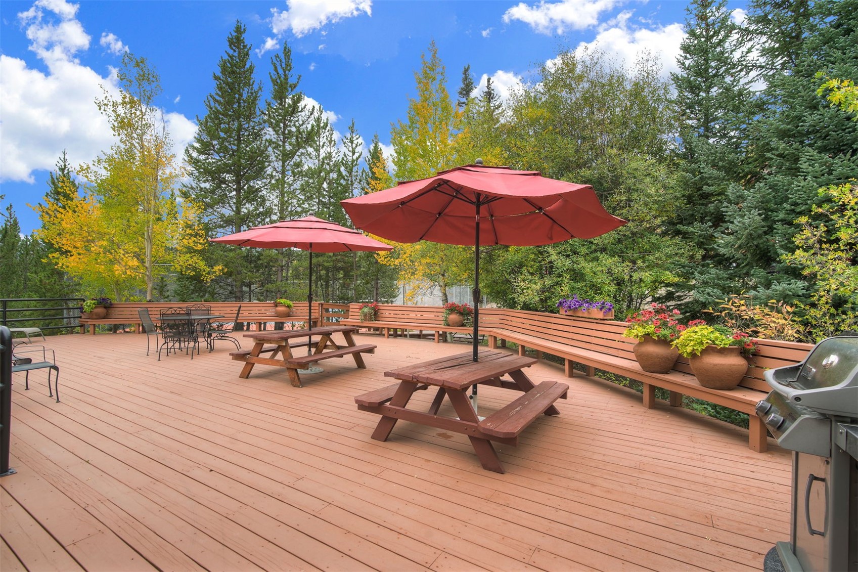 91100 Ryan Gulch Road Silverthorne CO 80498