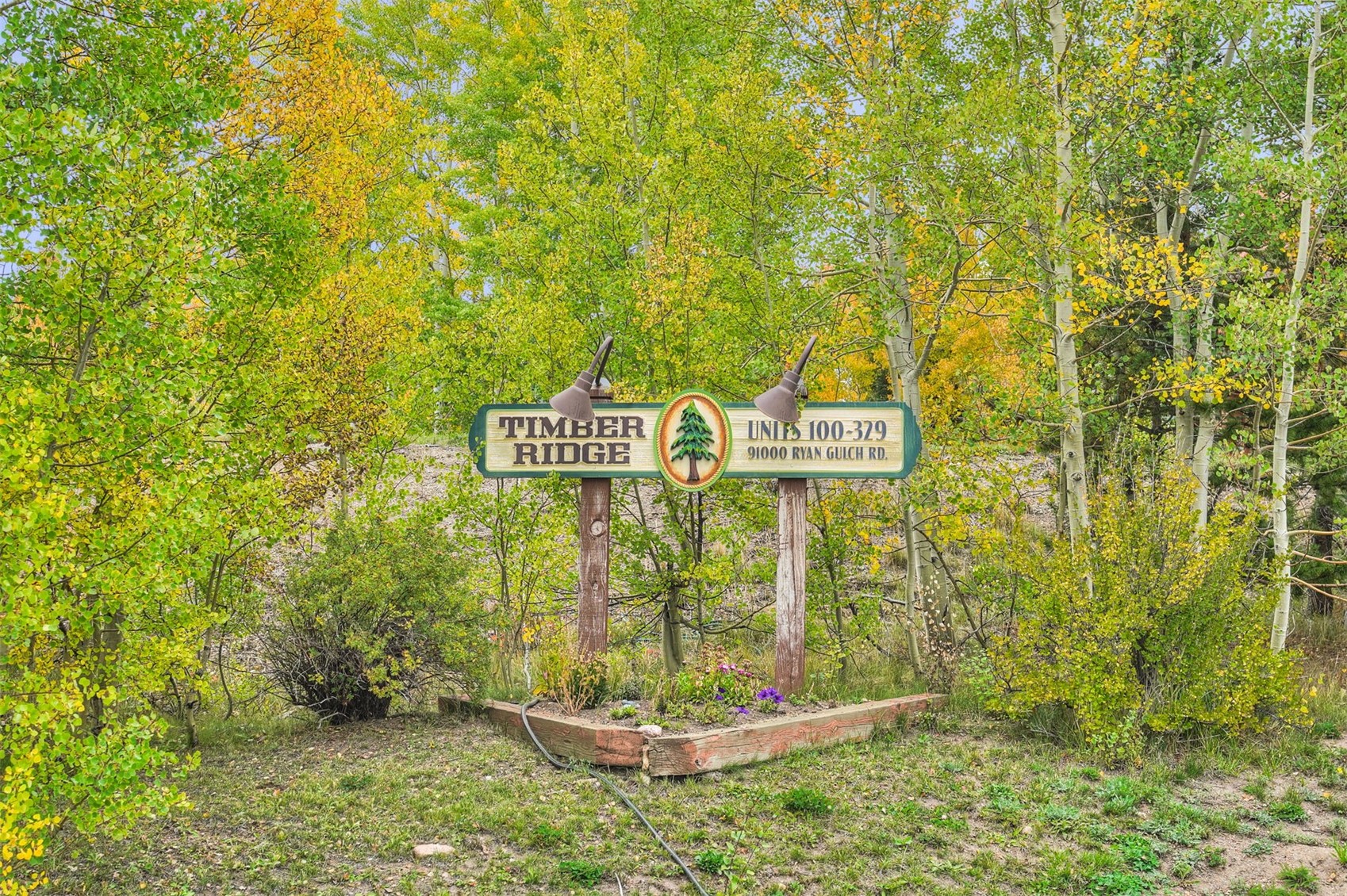 91100 Ryan Gulch Road Silverthorne CO 80498