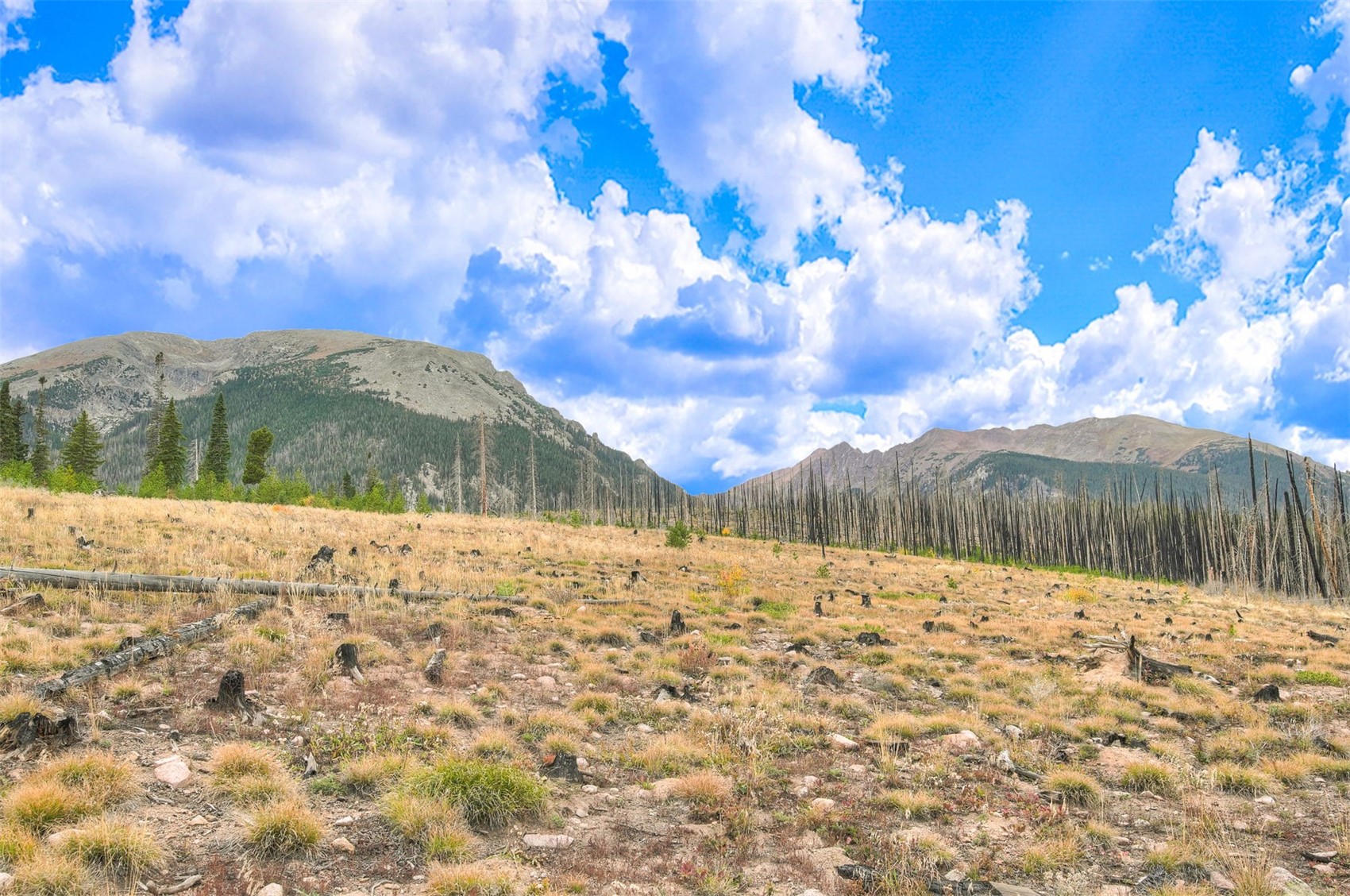 91100 Ryan Gulch Road Silverthorne CO 80498