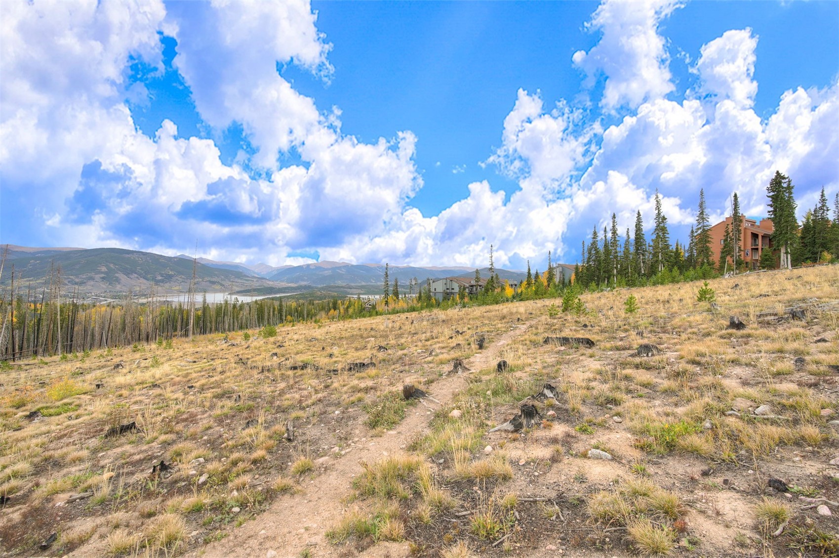 91100 Ryan Gulch Road Silverthorne CO 80498