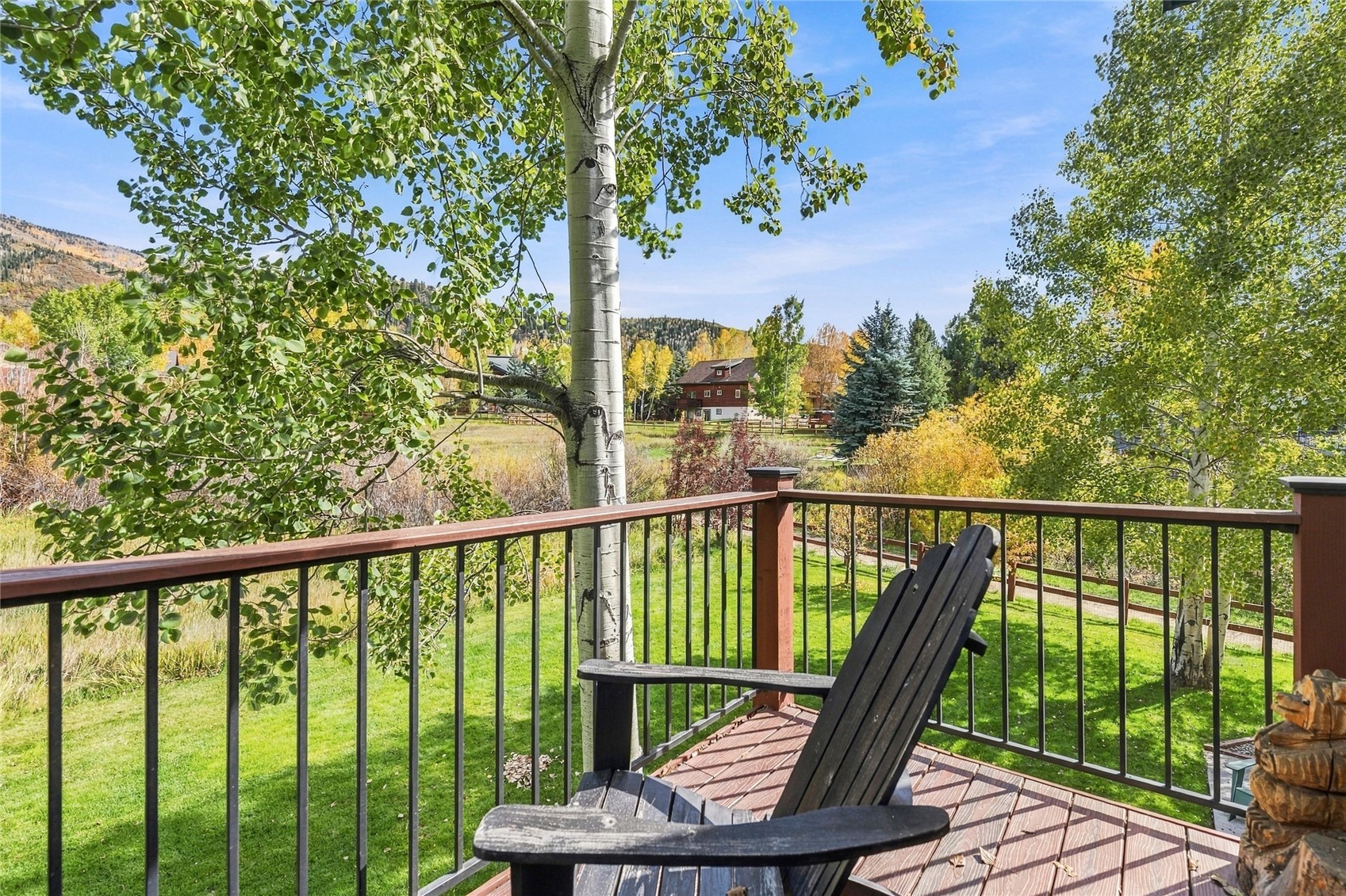 1679 Thistlebrook Lane Steamboat Springs CO 80487