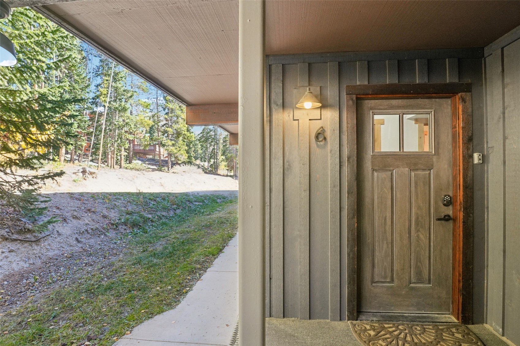 166 S Fuller Placer Road Breckenridge CO 80424