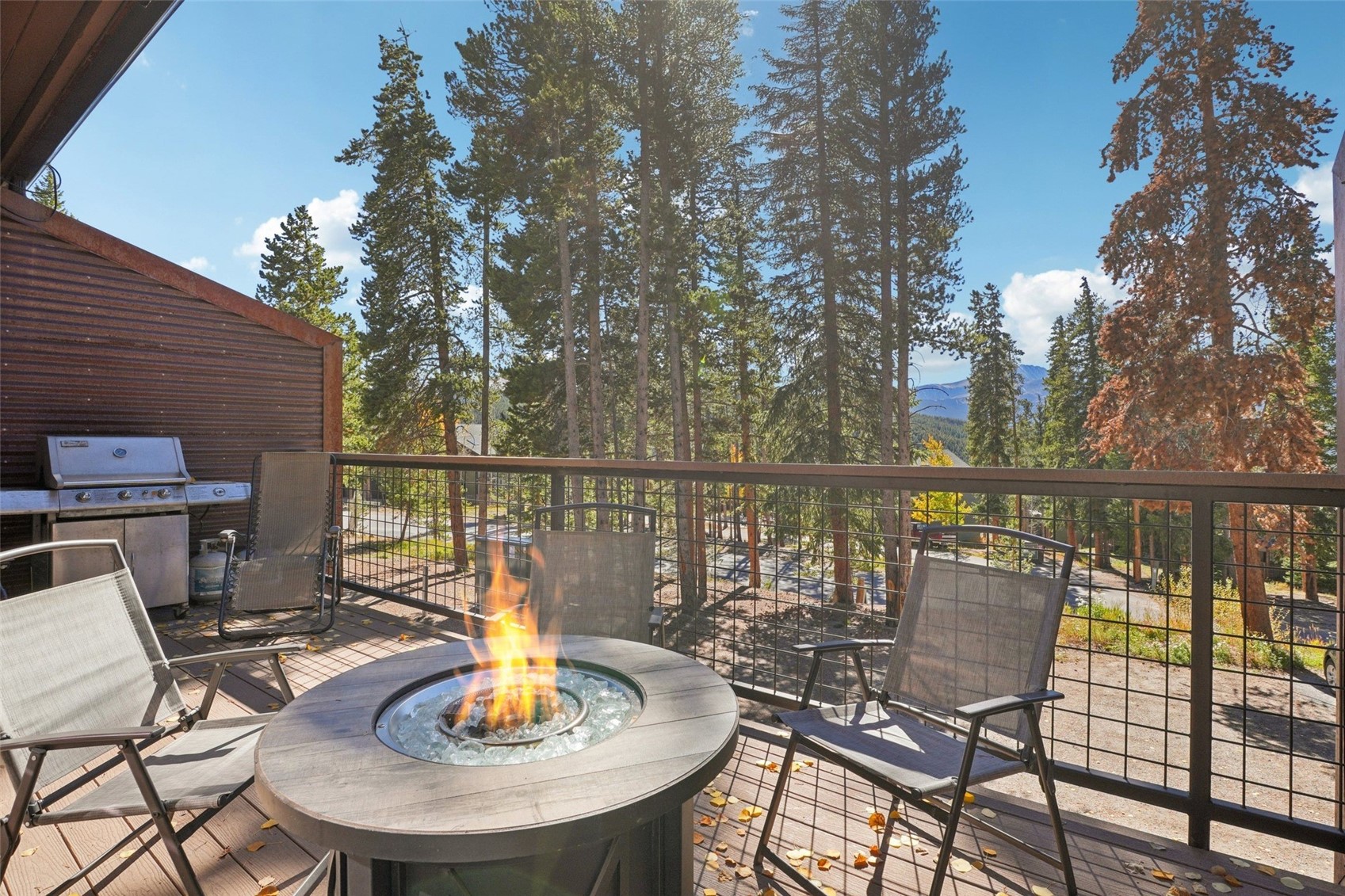 166 S Fuller Placer Road Breckenridge CO 80424