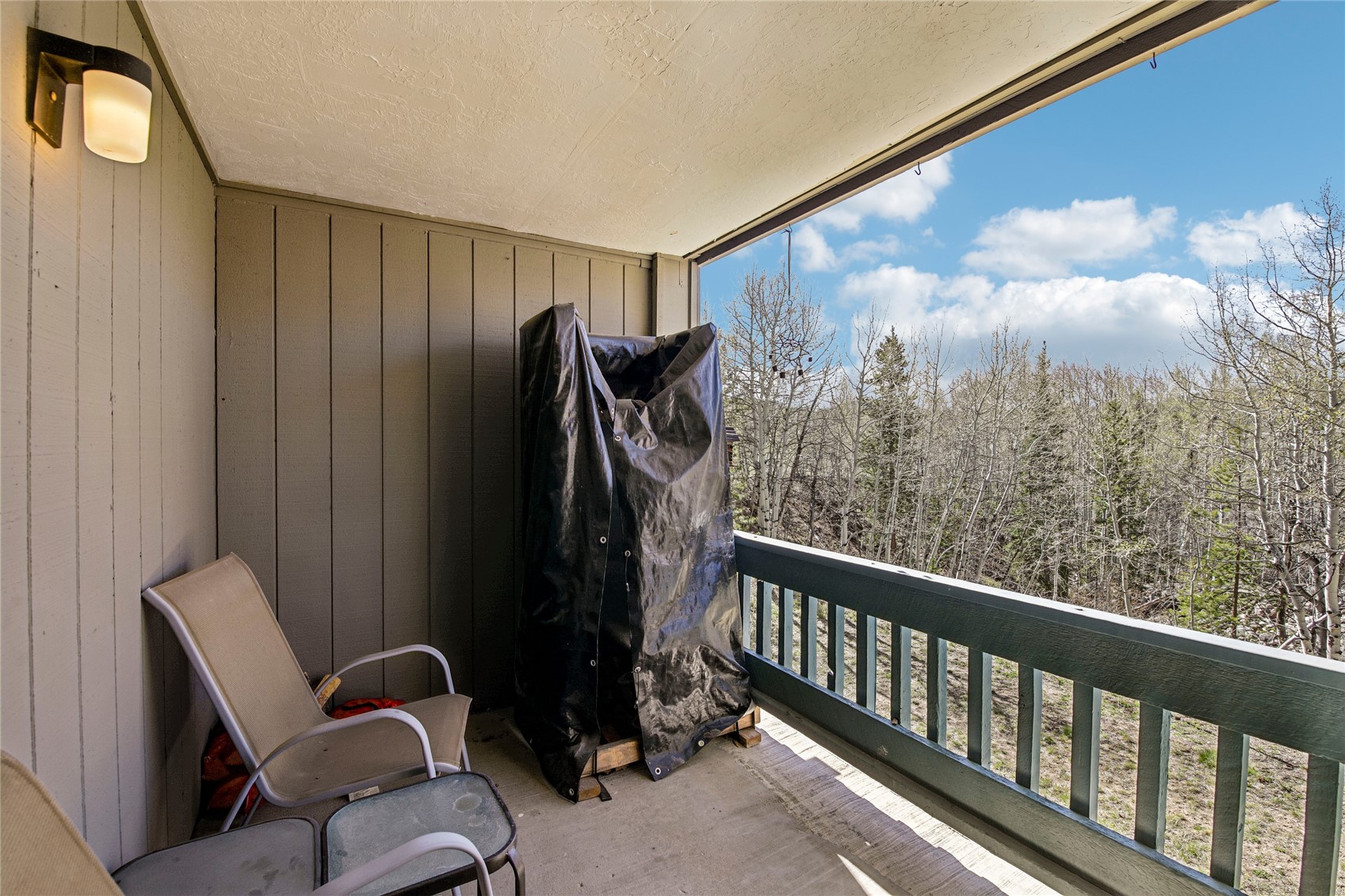 101 Ryan Gulch Court Silverthorne CO 80498