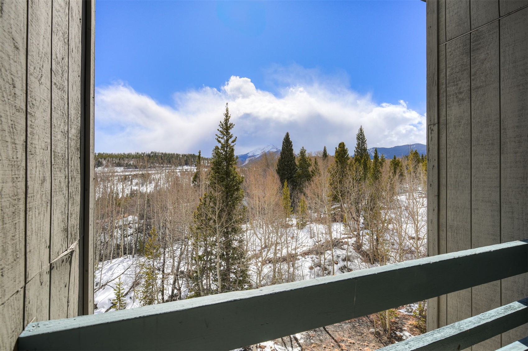 101 Ryan Gulch Court Silverthorne CO 80498