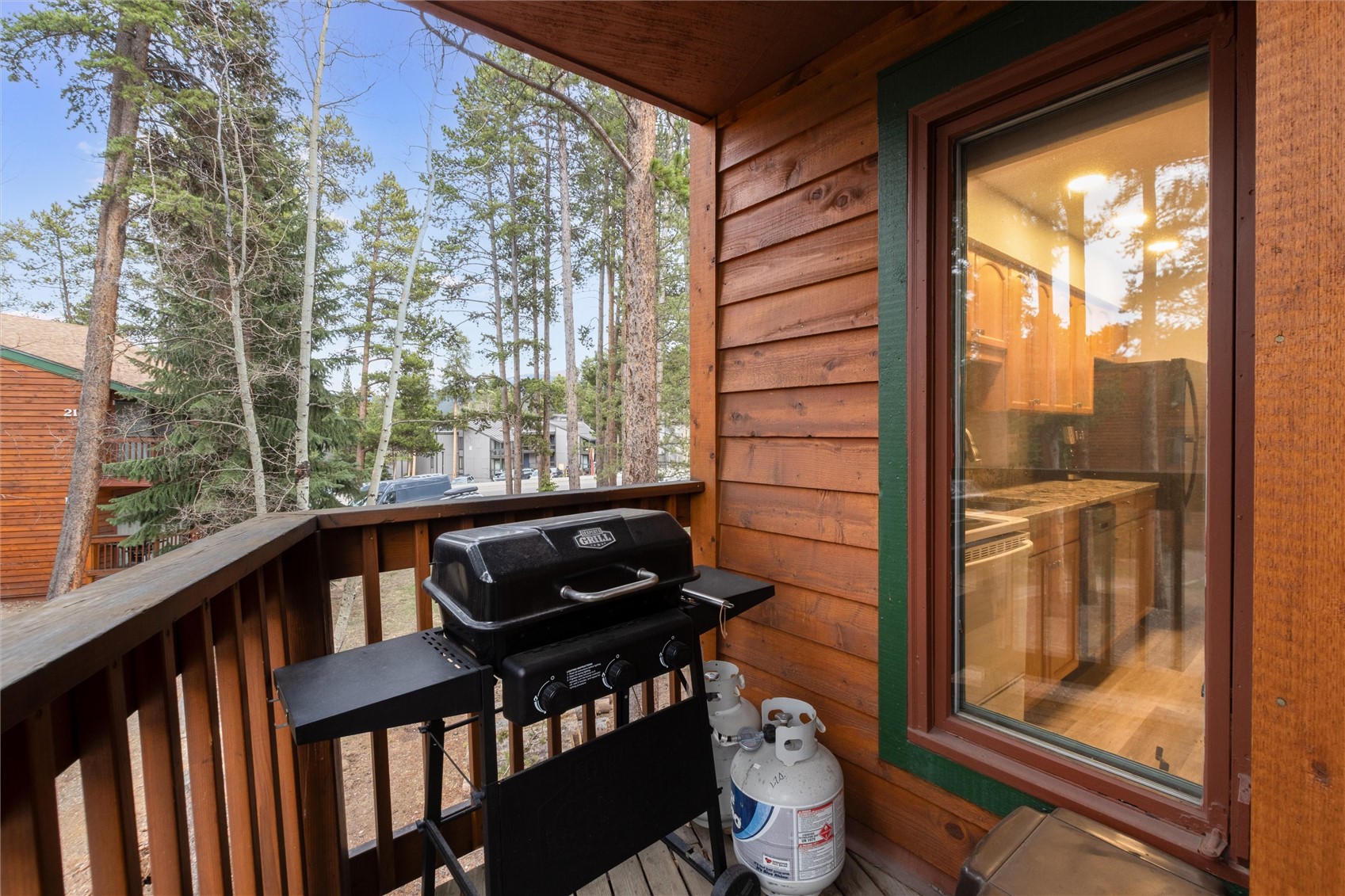 1140 Ski Hill Road Breckenridge CO 80424