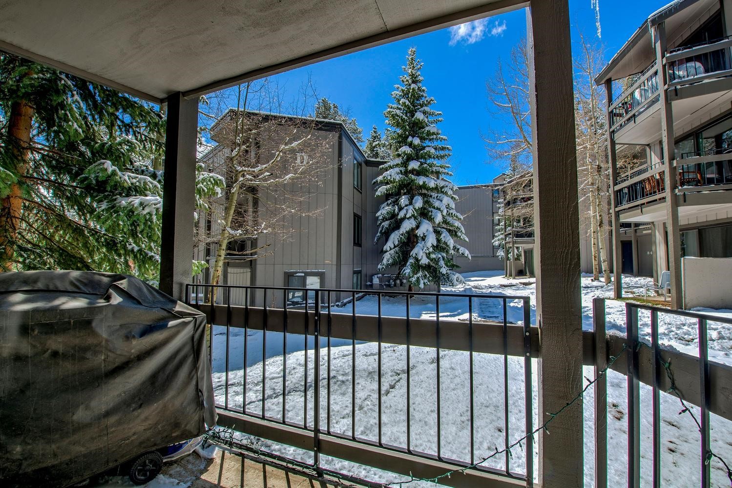 1105 Ski Hill Road Breckenridge CO 80424