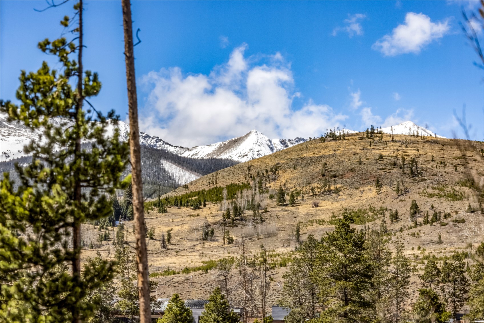 891 Fairview Boulevard Breckenridge CO 80424