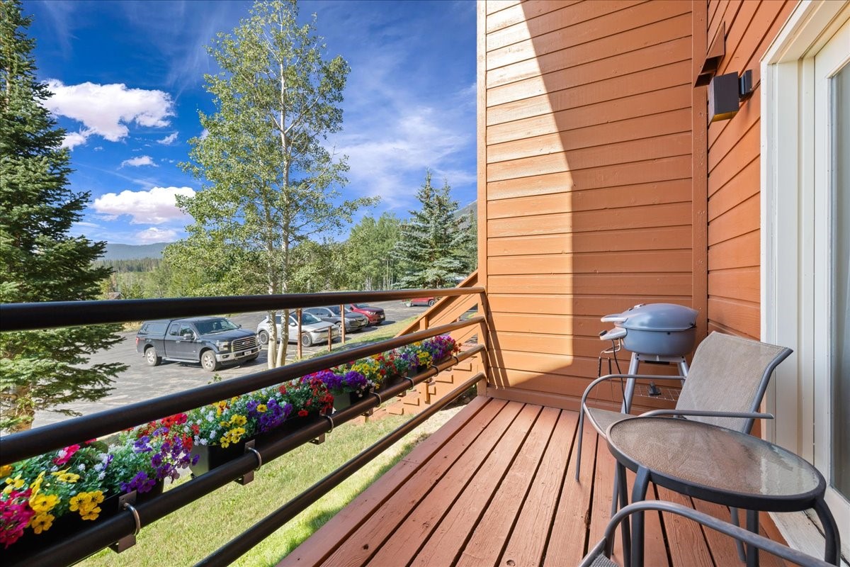 91300 Ryan Gulch Road Silverthorne CO 80498