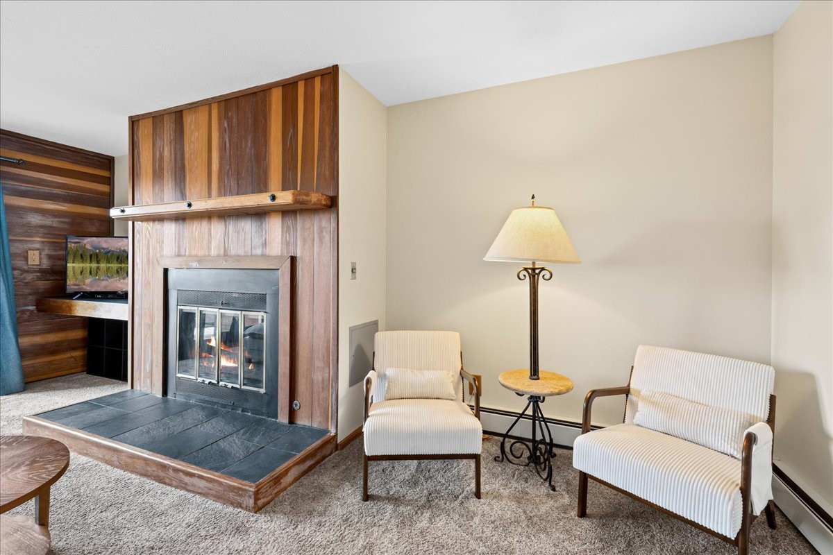 91300 Ryan Gulch Road Silverthorne CO 80498