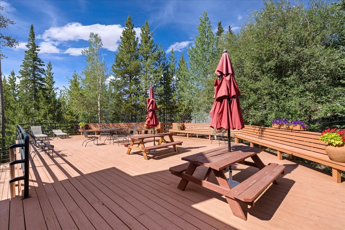 91300 Ryan Gulch Road Silverthorne CO 80498