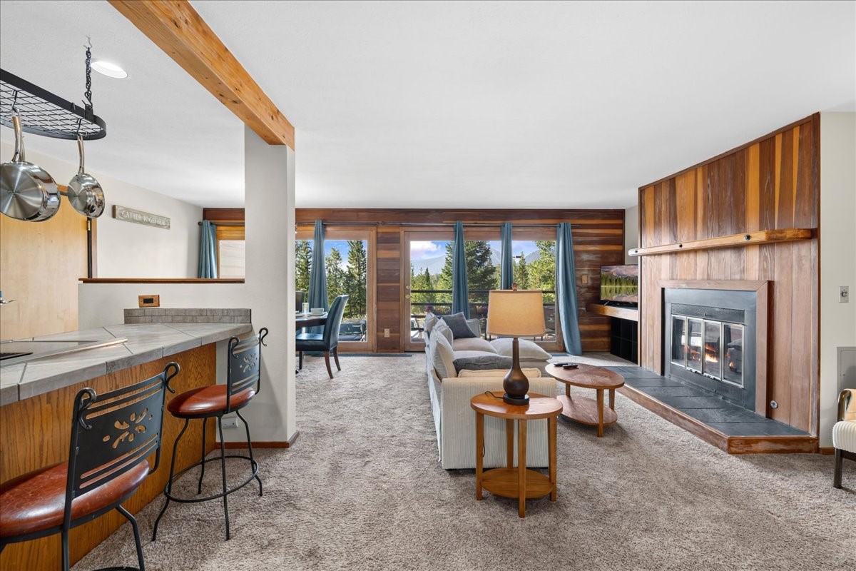 91300 Ryan Gulch Road Silverthorne CO 80498