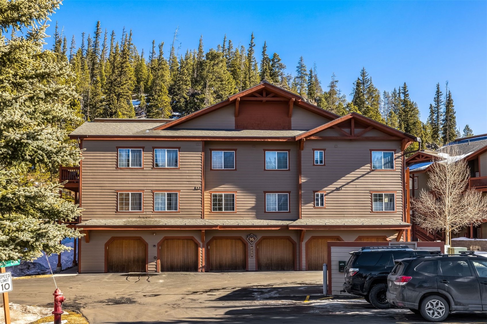 253 Pelican Circle Breckenridge CO 80424