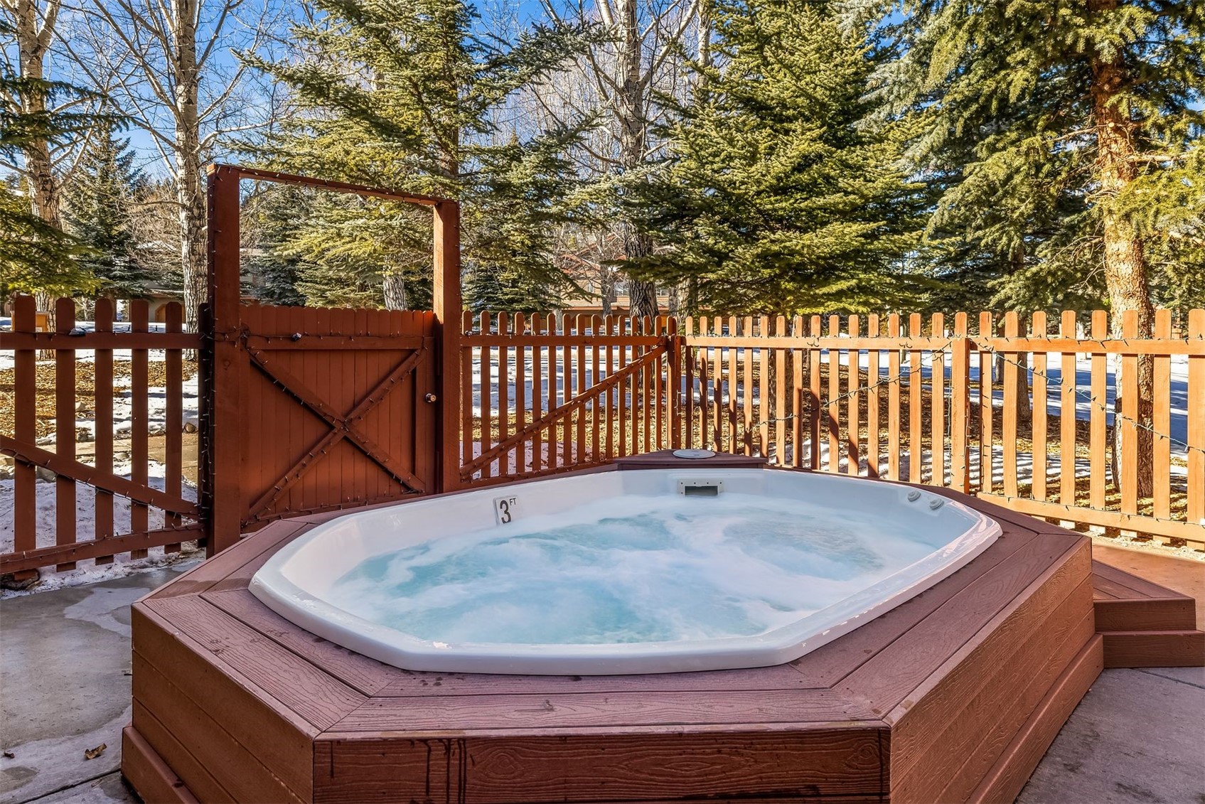 253 Pelican Circle Breckenridge CO 80424
