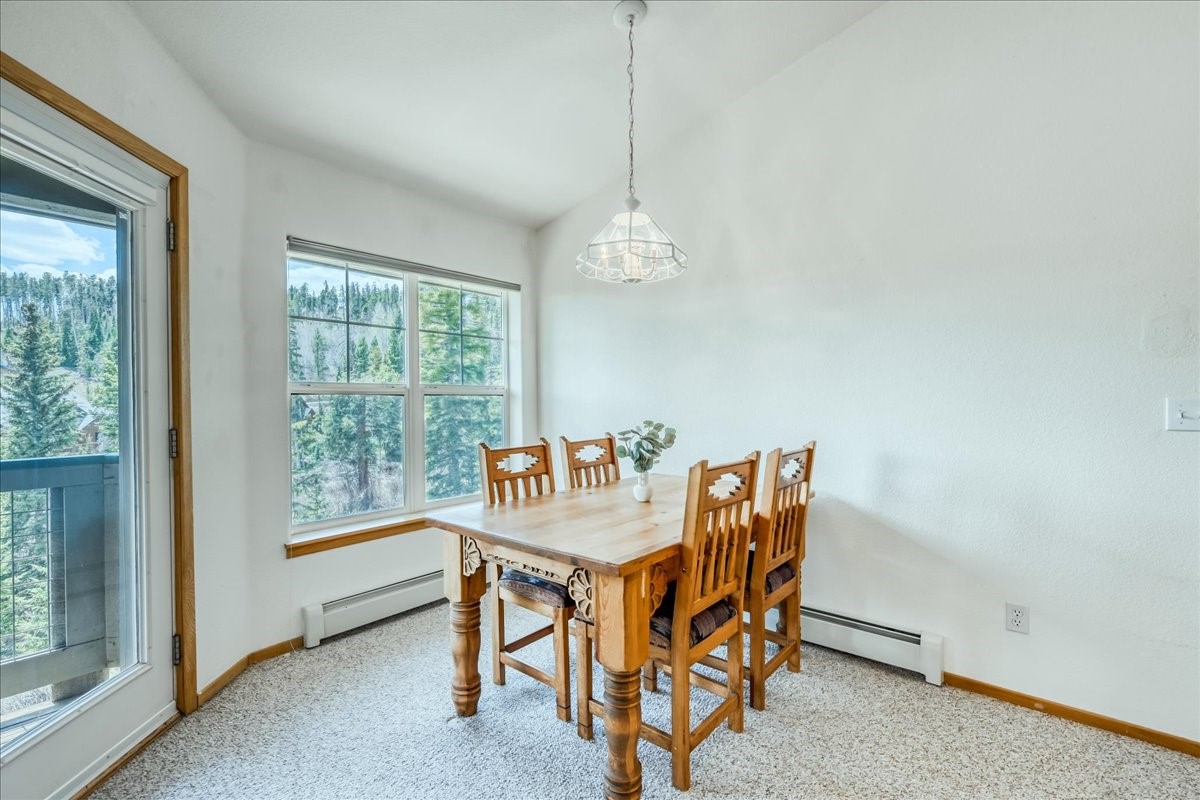 91399 Ryan Gulch Road Silverthorne CO 80498