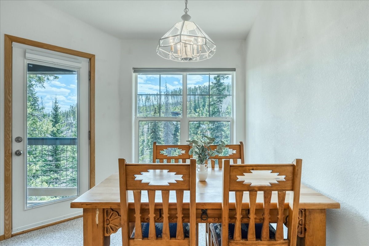 91399 Ryan Gulch Road Silverthorne CO 80498